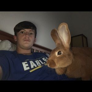 Meet your Posher, Ryan